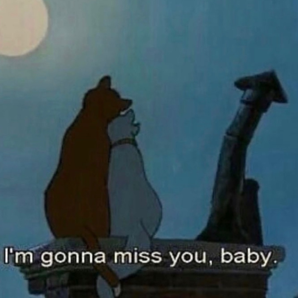 Meet your Posher, Angel